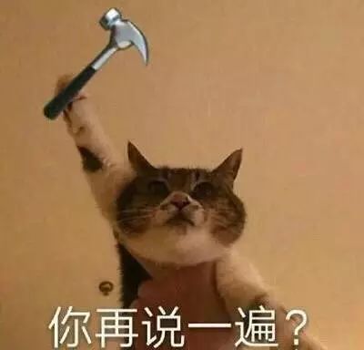 网评最鸡肋的家电,盘点那些网上卖的没用的产品