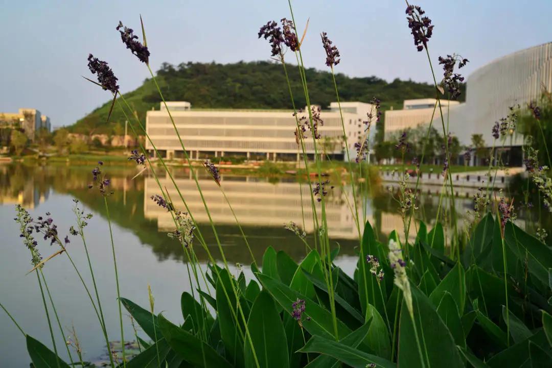 毕业留上海,毕业留在大城市后悔了