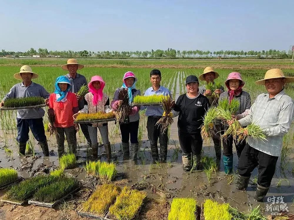 中国用了占世界多少的耕地,我国用占世界百分之几的耕地