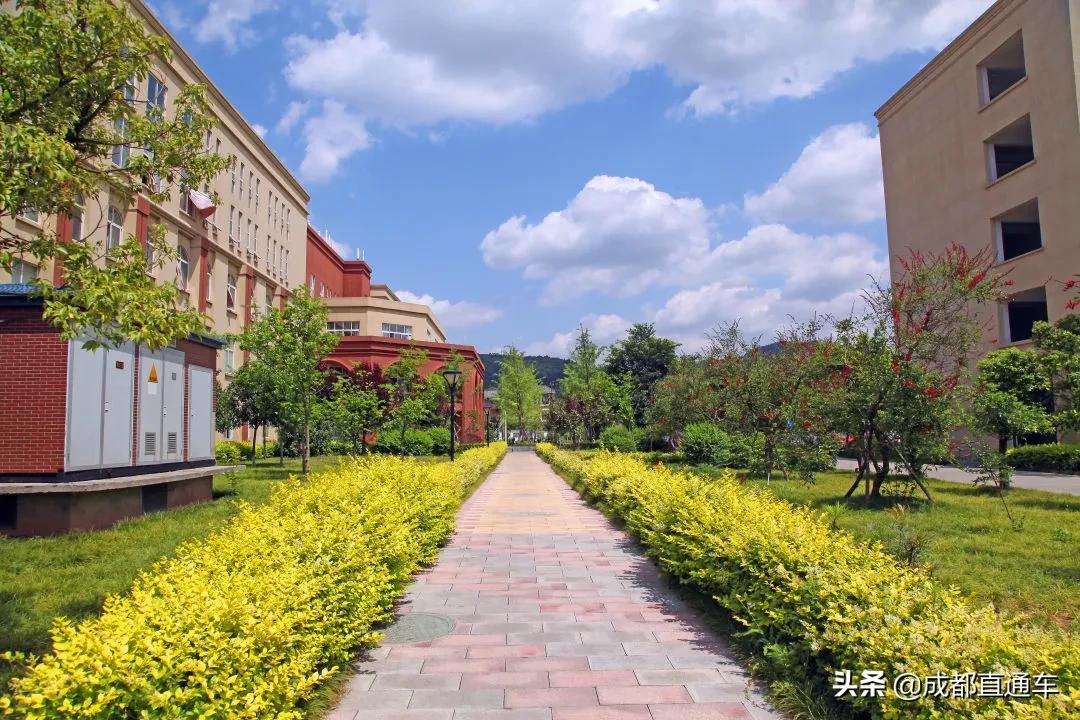 花开的季节合唱视频,花开的季节和你相遇