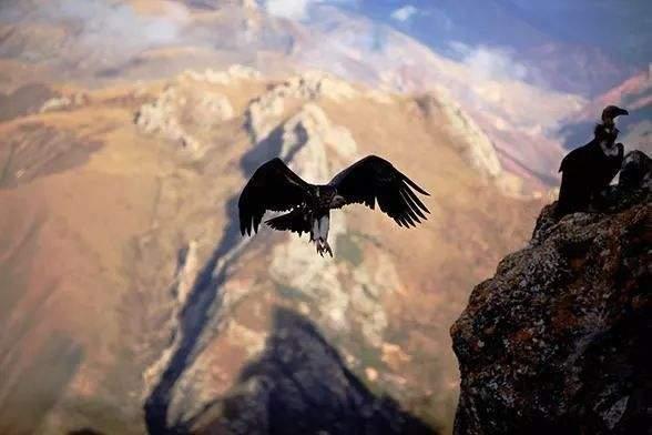 儒释道经典语录,儒释道三家经典名言