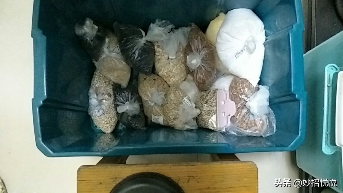 五谷杂粮放冰箱冷藏里还会生虫吗,五谷桶里放什么不易生虫