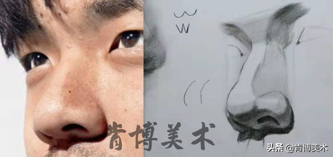 素描入门零基础教程人像鼻子,素描人物头像鼻子详细教程