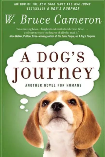 2019大片电影大全,2019年大片