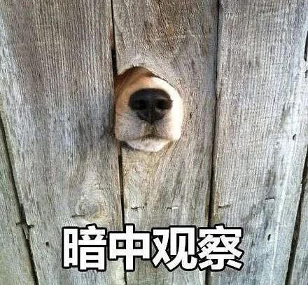 女子帮刷单被骗反诈警察上门,女警刷单被骗