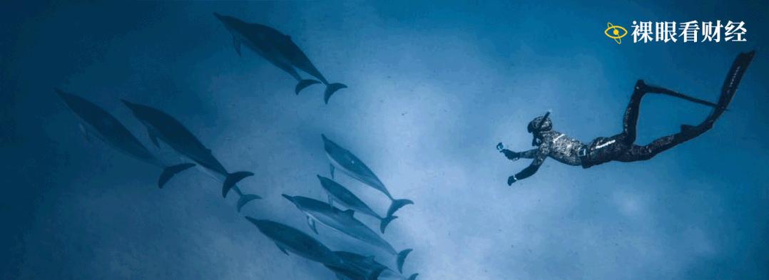 刘彦春离职传闻,刘彦春靠谱吗