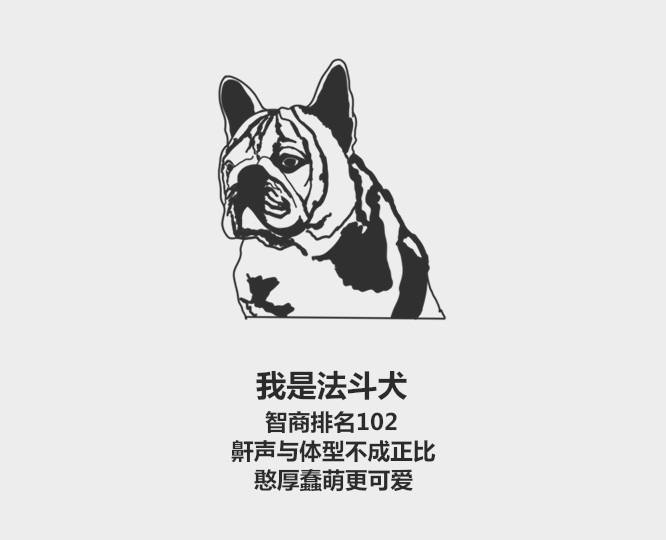 十大蠢狗排名之哈士奇,哈士奇最傻瞬间