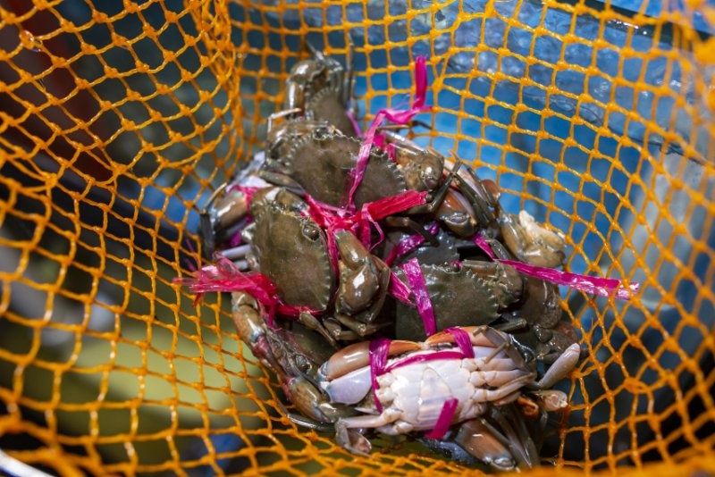 长沙东方船说海鲜自助餐厅自助餐89.9元/1大1小，让你吃到扶墙走