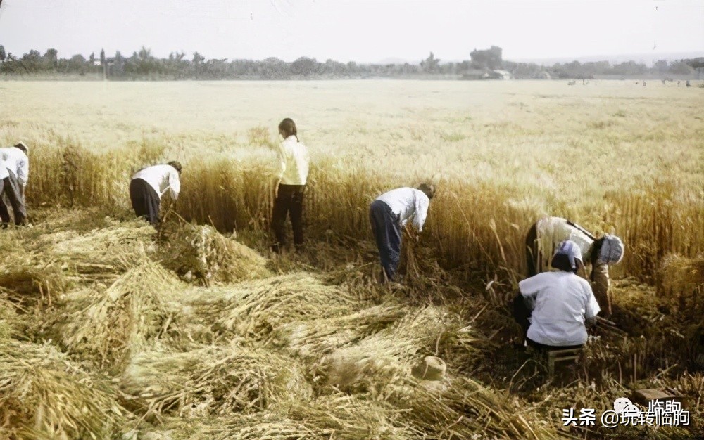 鍥炲繂鎴戠殑姣嶄翰鏈楄,鍥炲繂鎴戠殑姣嶄翰璧忔瀽