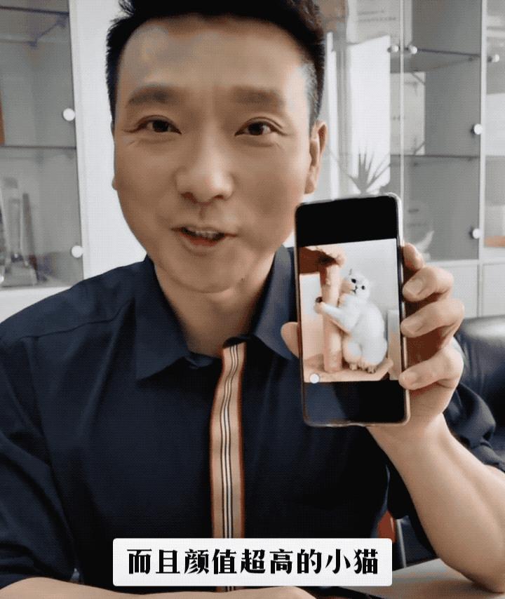 没想到,央视的名嘴们全都是猫奴