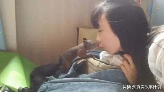 为什么有人会拿蛇蜥蜴蜘蛛当宠物,爬虫宠物蛇大型