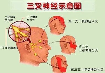 脑部肿瘤压迫眼皮下垂可以治疗吗,眼皮老是抬不起来想睡没精神