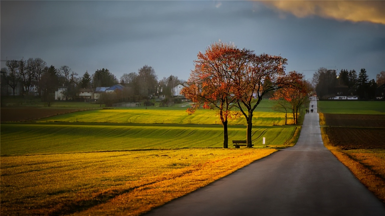 表面随性平和其实城府极深的星座,聪明过人却从不张扬低调的星座