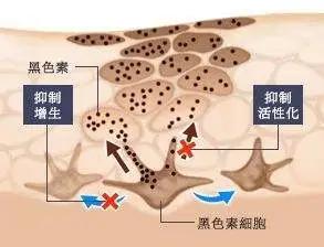 护肤手册都需要什么,护肤手册小诀窍