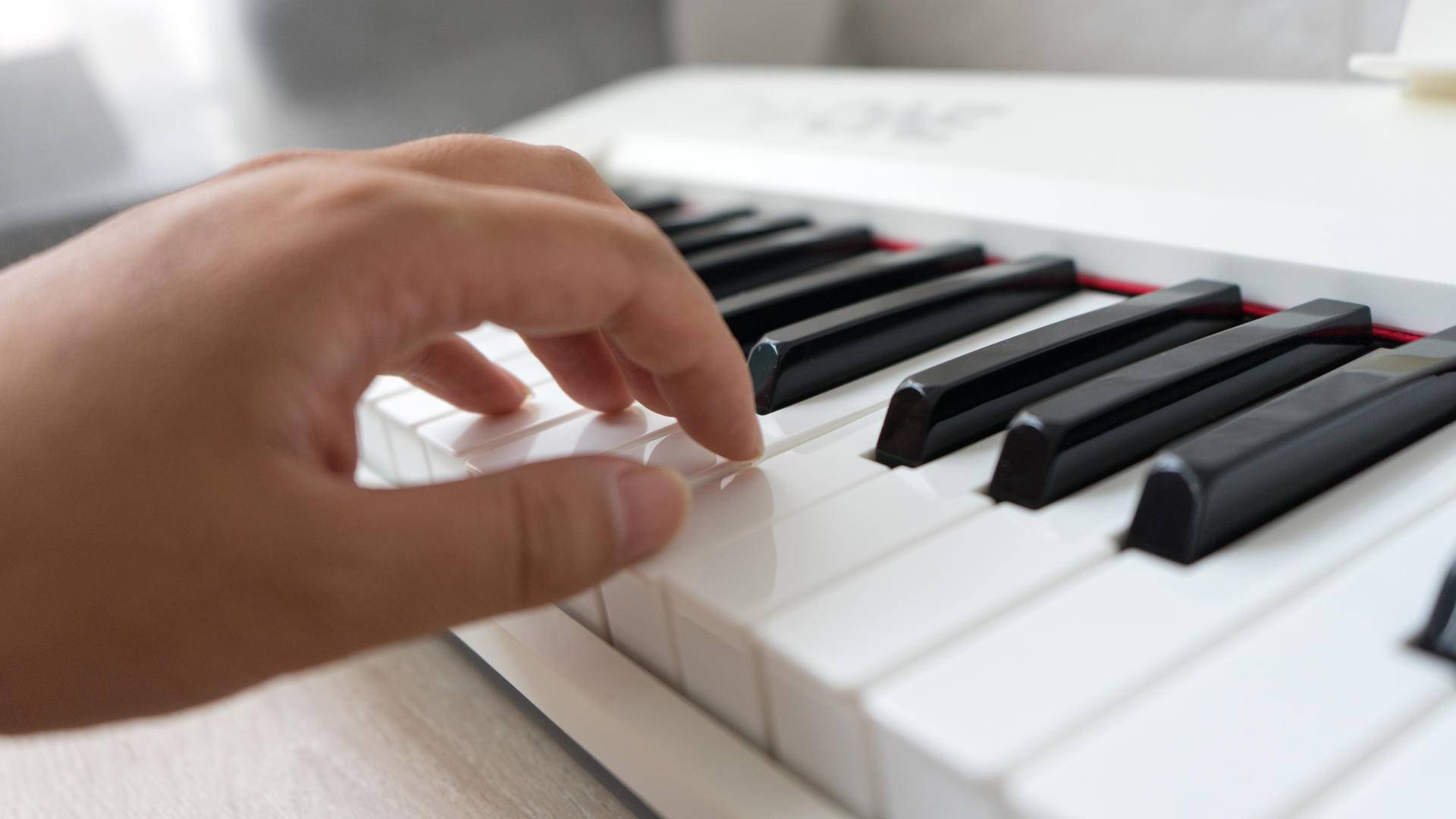 跟着郎朗学钢琴初级第一课,跟着郎朗学钢琴欢乐颂