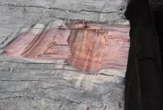 微凹黄檀和交趾黄檀的区别,交趾黄檀与微凹黄檀的区别