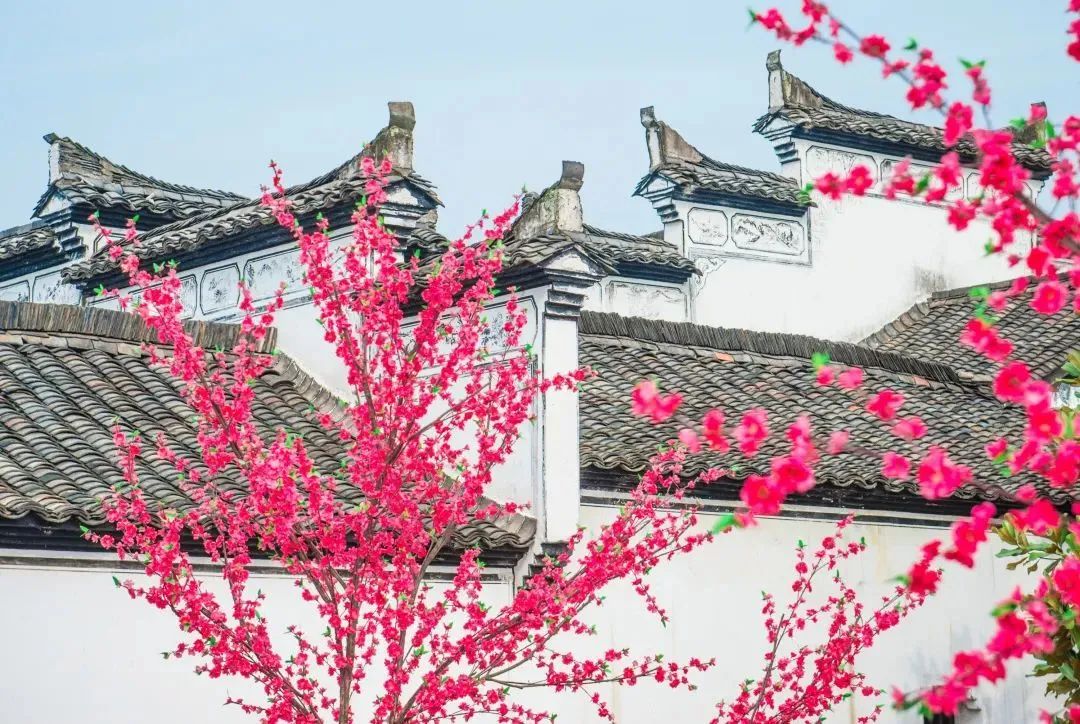 金华旅游攻略古镇推荐一下,诗意江南百花深处觅桃源