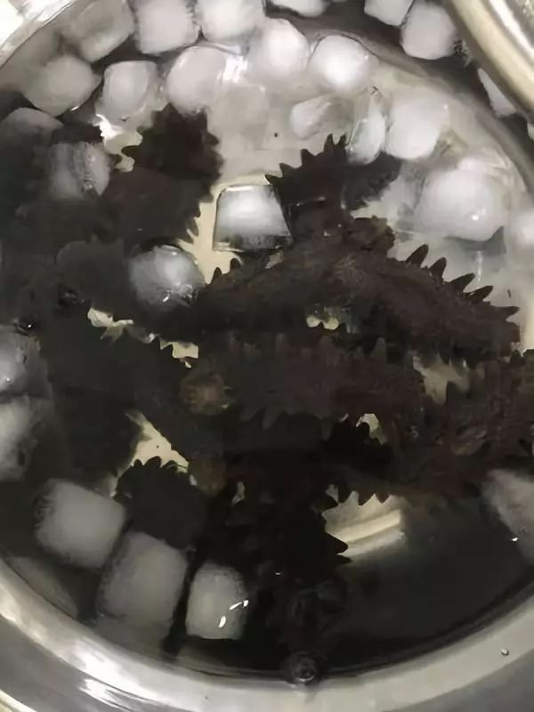 海参泡发过程中营养价值会流失吗,简单的海参泡发的正确方法