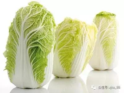 白菜和人们的生活关系,白菜与玫瑰