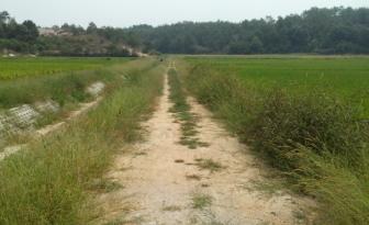 青蛙住“宾馆”，农田会呼吸，这个村发生了啥？