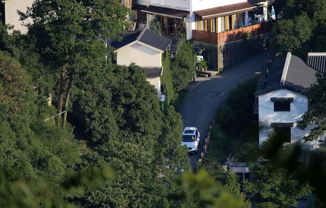 遇间播报|秋风拂杭州,阵阵桂香,满觉陇寻闲适,竟在山舍