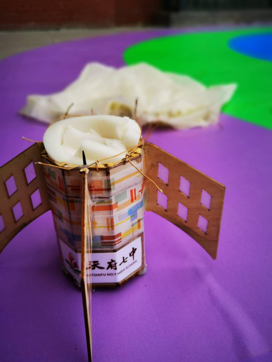 筑梦AI,智竞未来——天府七中科创体育节之科技活动回顾