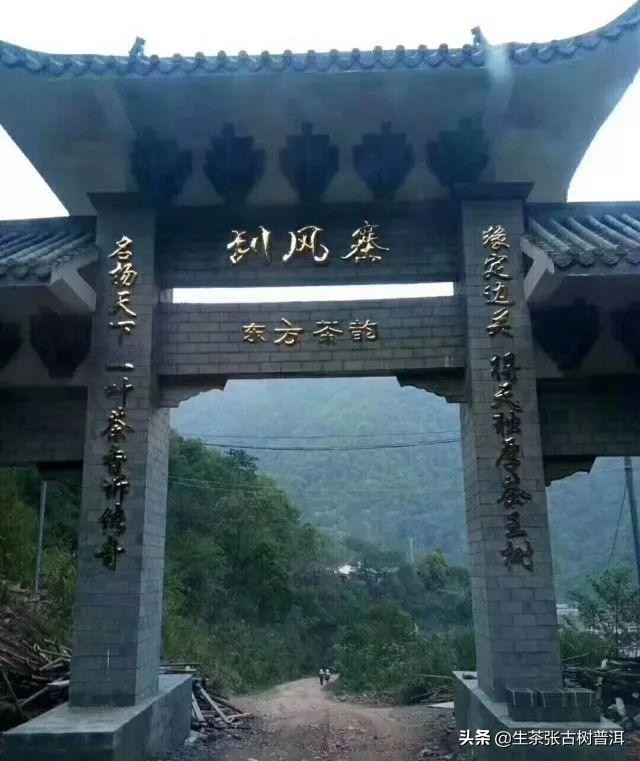 刮风寨普洱茶滋味如何？入喉甘甜，口感厚实承重，你喝过吗？