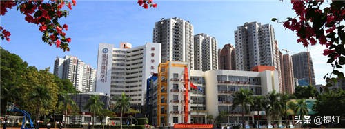 深圳石岩公学,深圳民办高中前十名推荐