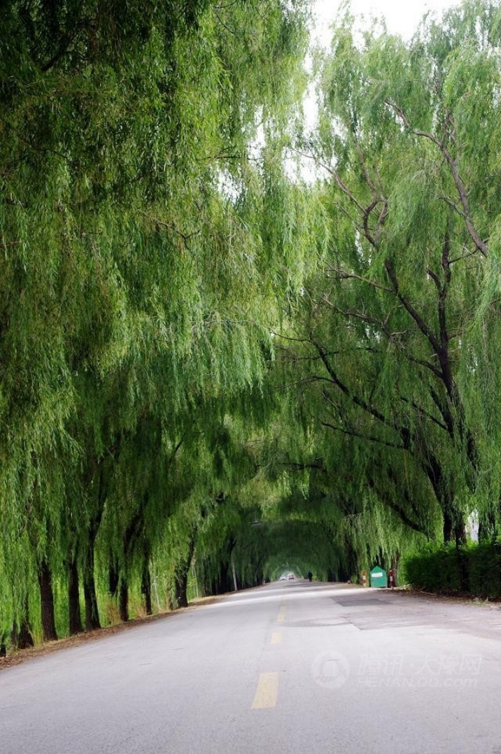 十一沿途风景,十一去红叶谷的景致
