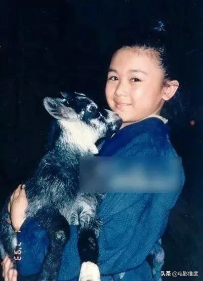 唐宁师妃暄定妆照,师妃暄唐宁现状