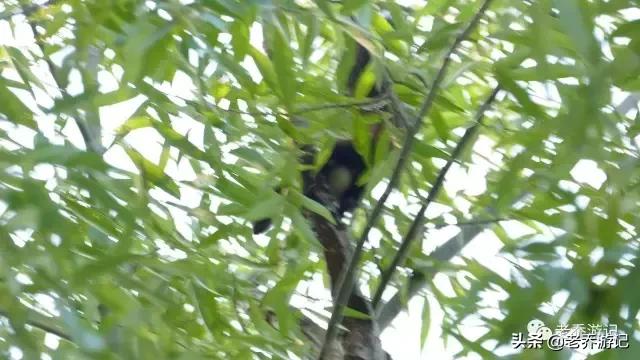 阳光有氧健身跑,阳光有氧训练跑步