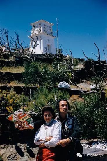 活在梦境里完整版,永远活在梦境中