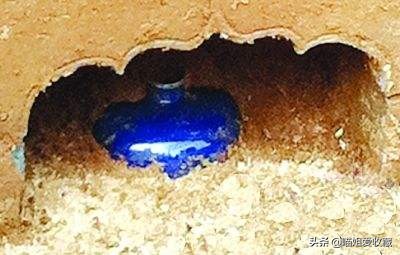 民工挖出国宝,工地挖出国宝真相