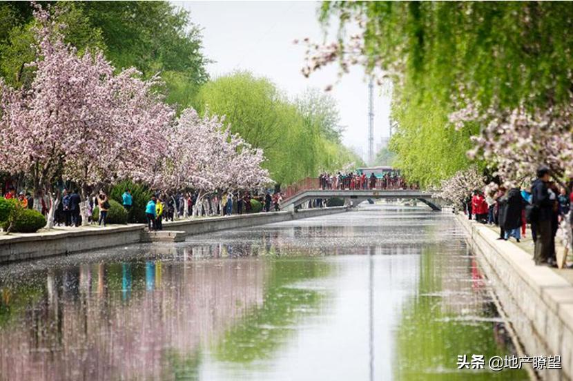 苦等10年终成正果,苦等十年后续