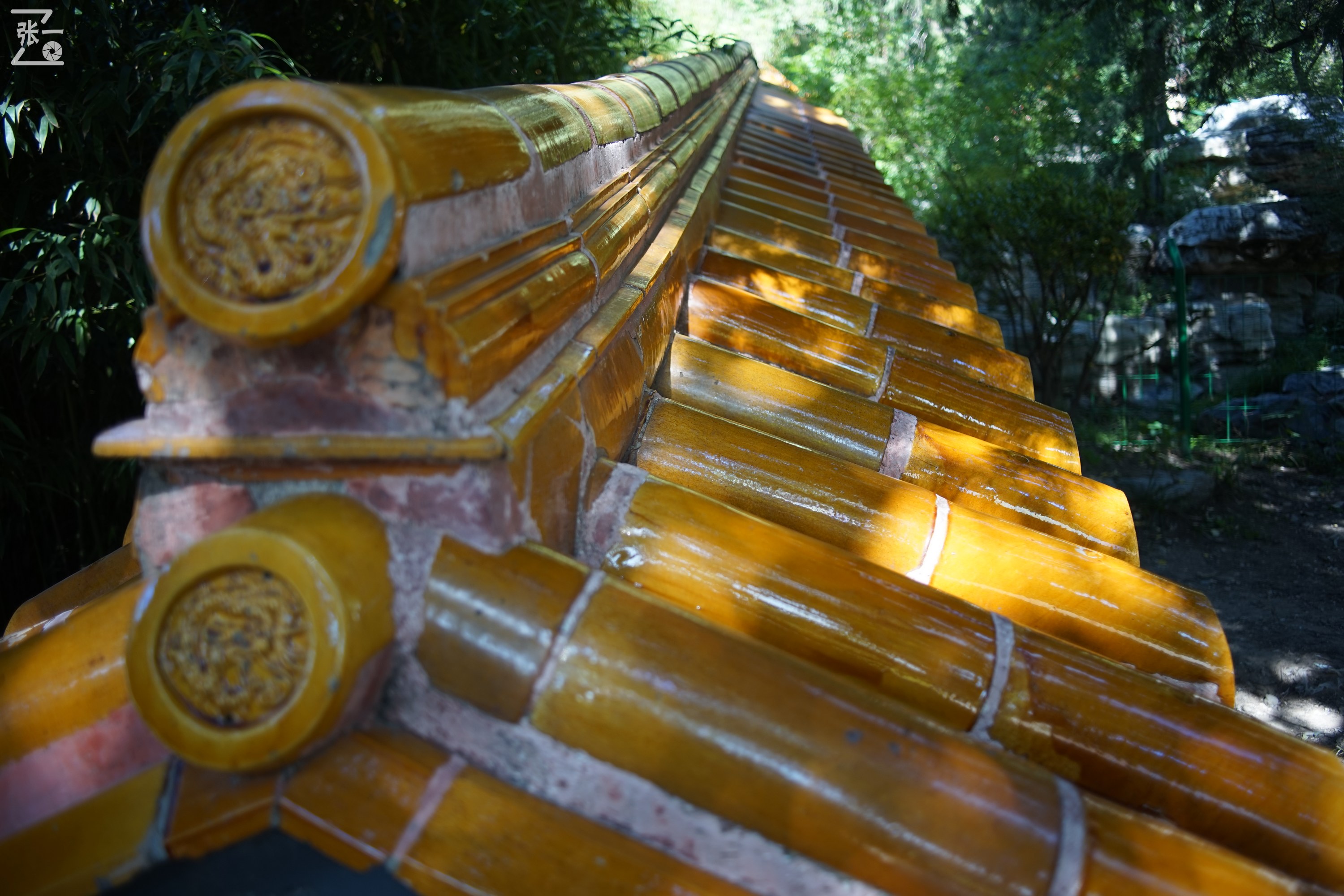 镜头测试：蔡司红T28/2.8+索尼微单A7实拍北京景山公园