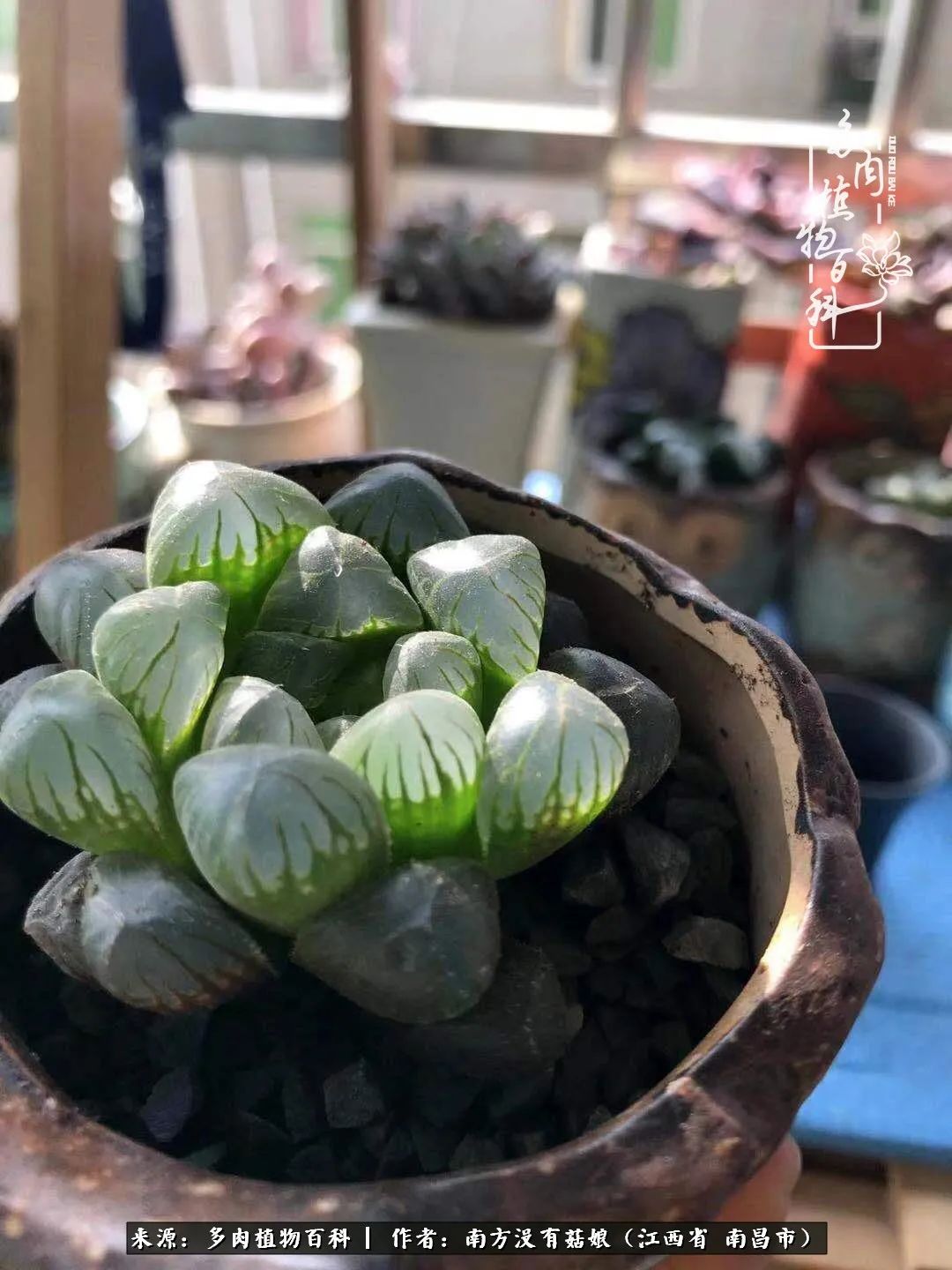 既见云胡不喜,既见君子云胡不喜毛笔楷书