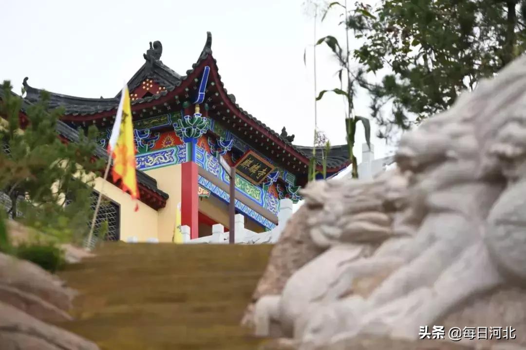 黄金寨一游,黄金寨百泰麒麟园