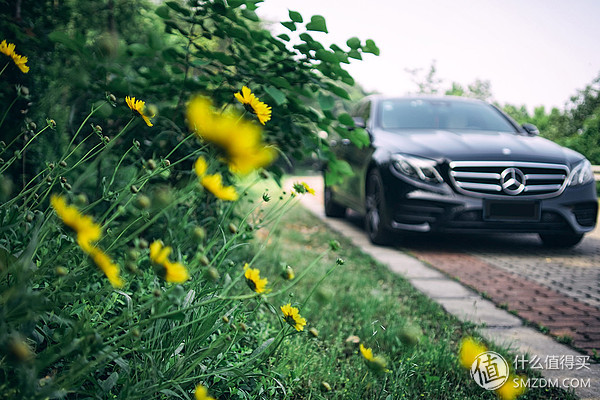 索尼微单基础知识大全集,摄影新手必看关于索尼微单的15条