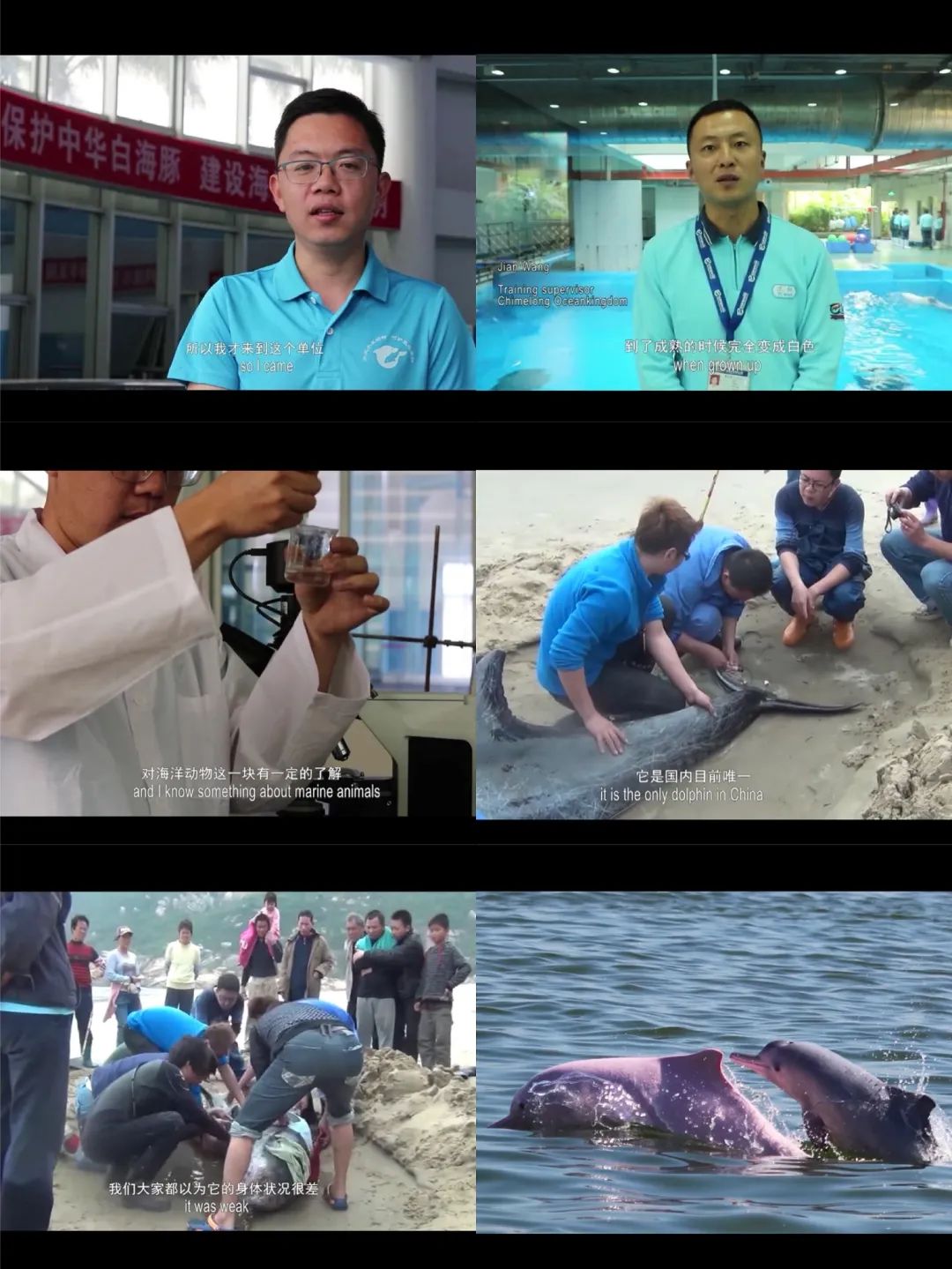 北师大珠海校区最厉害三个校友,北师大珠海分校优秀毕业生梁桢