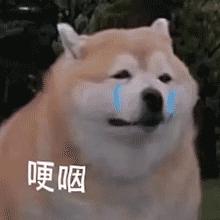 过期怎么了，用不完怎么了，换个用途又是好宝贝