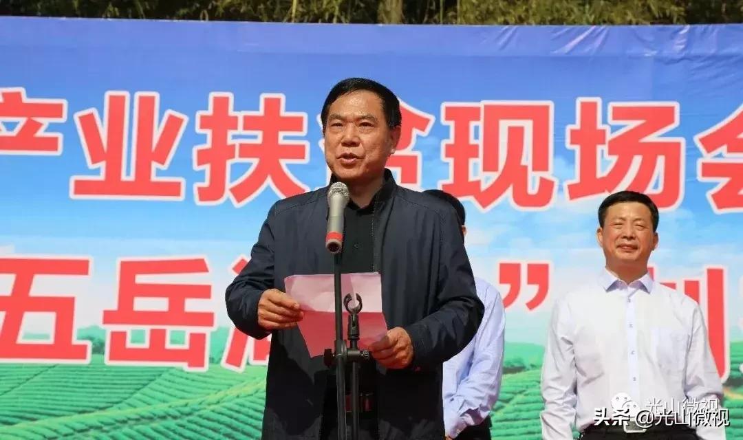 光山斗茶大赛完整版,信阳斗茶大赛获奖