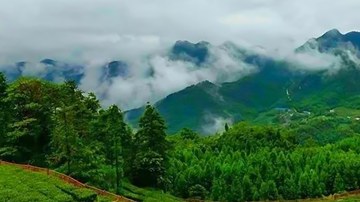 四川旅游踩坑的地方,贵州旅游踩坑