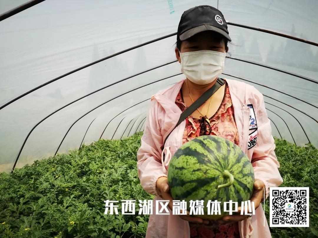 为“临”带货|我吃了,种草了!红透透的西瓜你值得拥有!