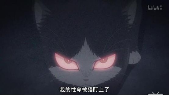 最萌新番,豆瓣8.8最佳纪录片女主