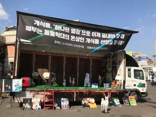 韩国最大的宠物狗市场,世界上最大狗肉市场