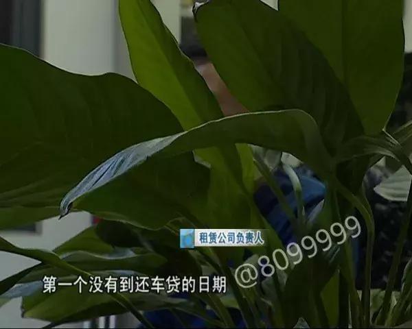 网约司机开车冲进滇池 (网约车司机把车开进滇池)