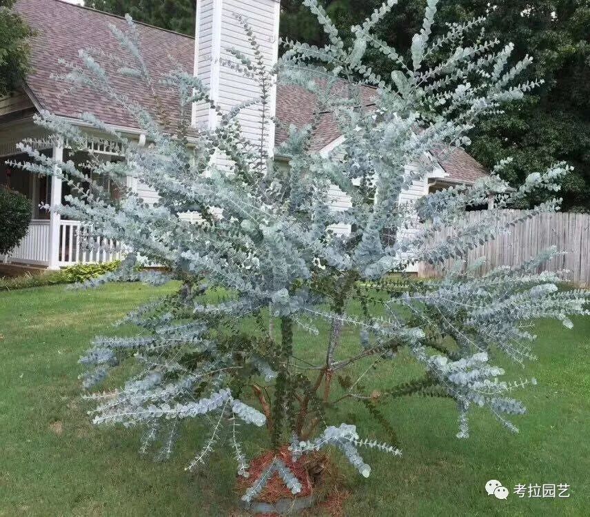大地的恩赐图片,大地的馈赠是大天域吗