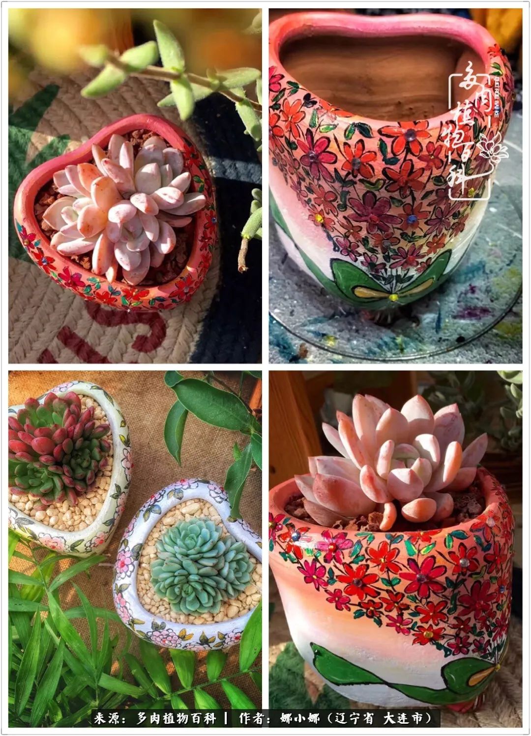 你是盆我是花，你护我周全，我为你绽放