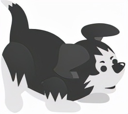 每日小科普小知识,中央电视台狂犬病科普