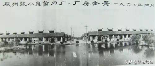 西湖为杭州做了什么？这些90%老杭州人用过的东西你见过吗